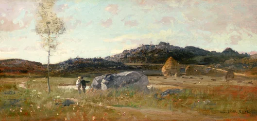 Sommerlandschaft